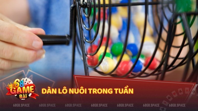 Dàn lô nuôi trong tuần