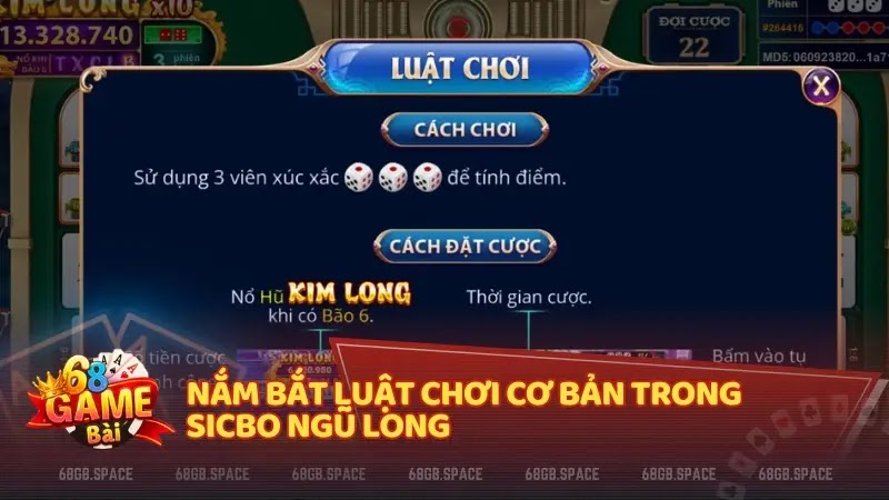 Nắm bắt luật chơi cơ bản trong Sicbo Ngũ Long